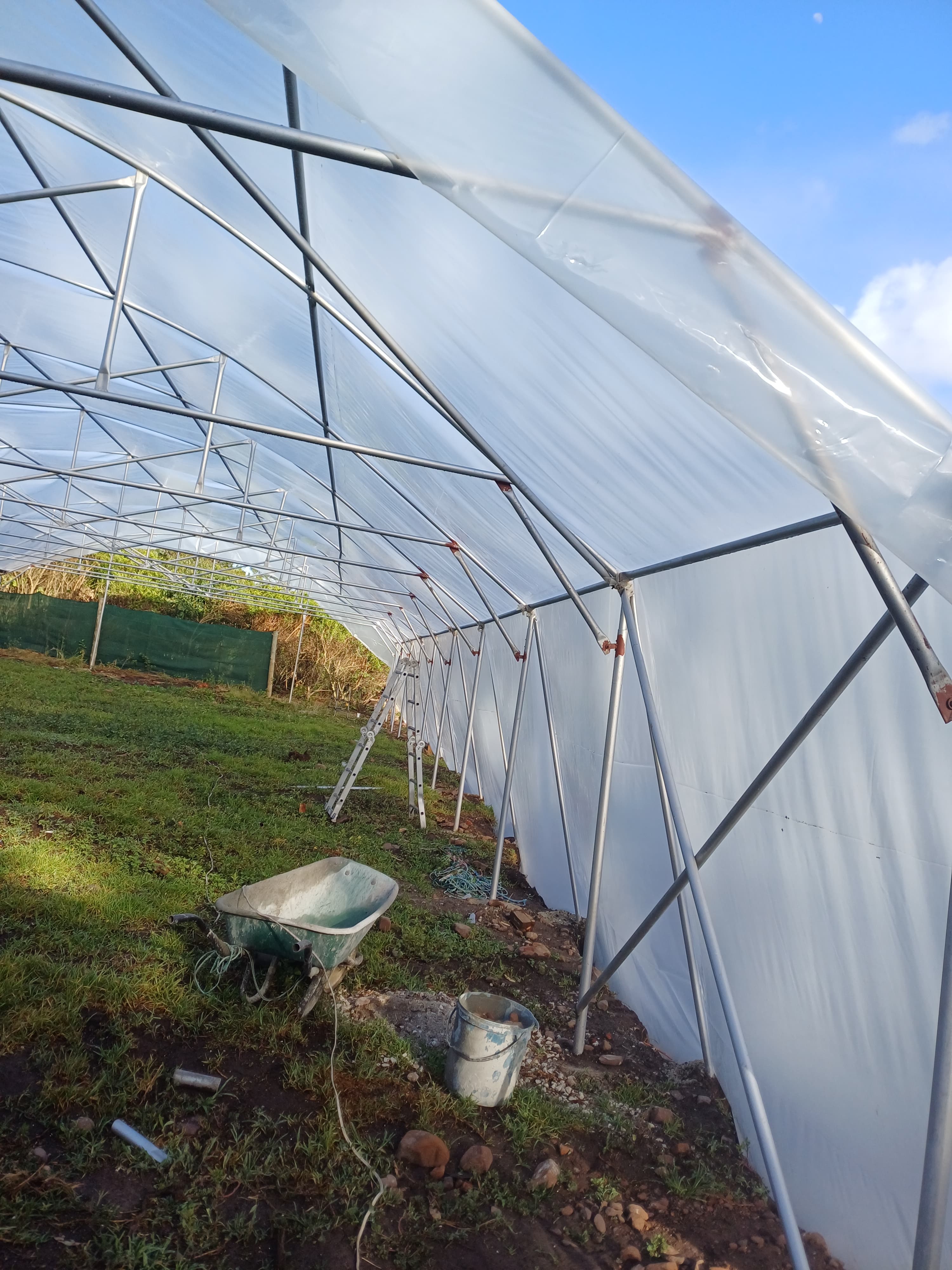 Tunnel frames under early morning light
