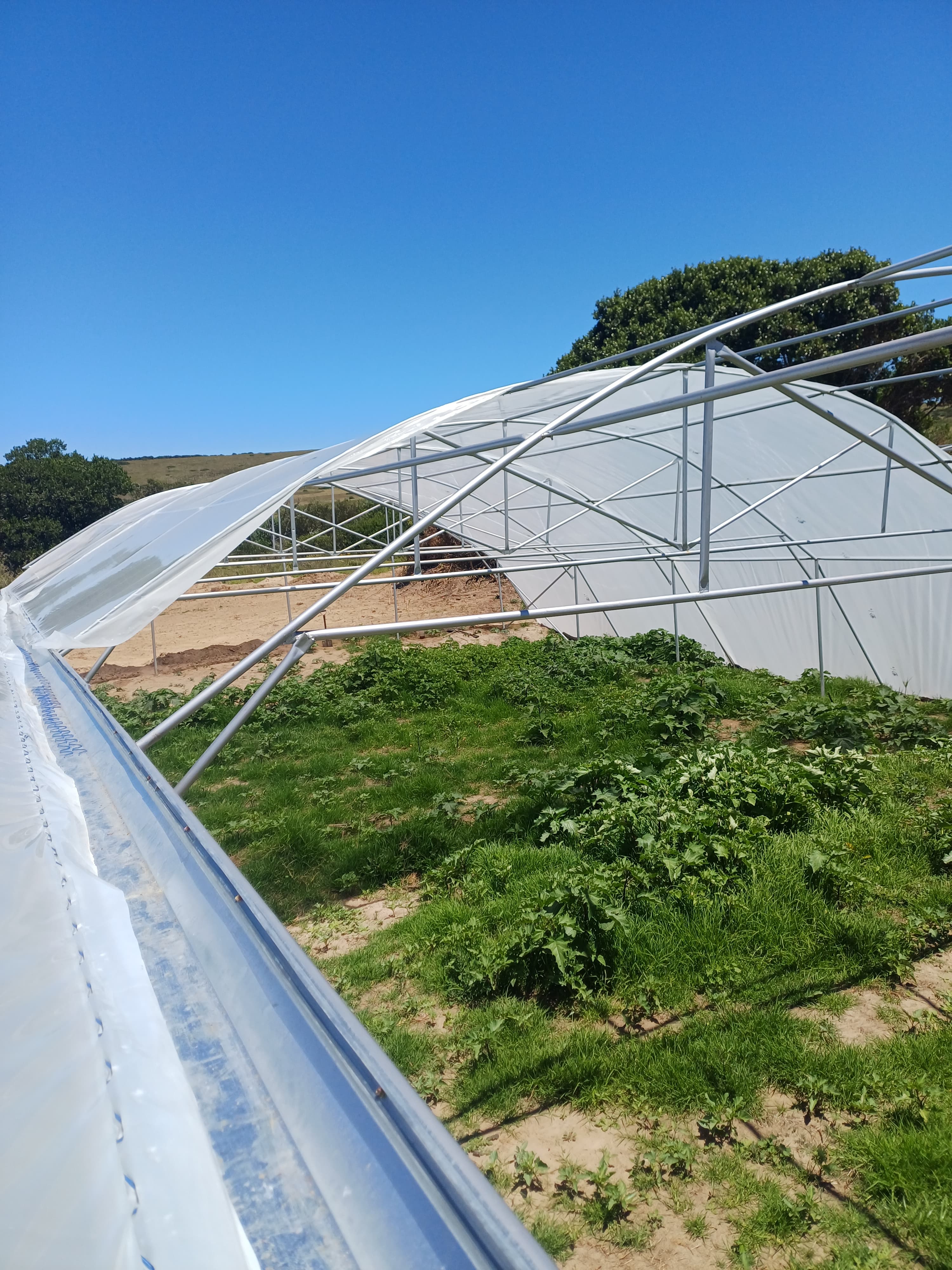 Completed tunnel with protective cladding