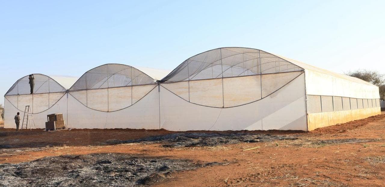 Greenhouse tunnel structure with steel frames and cladding
