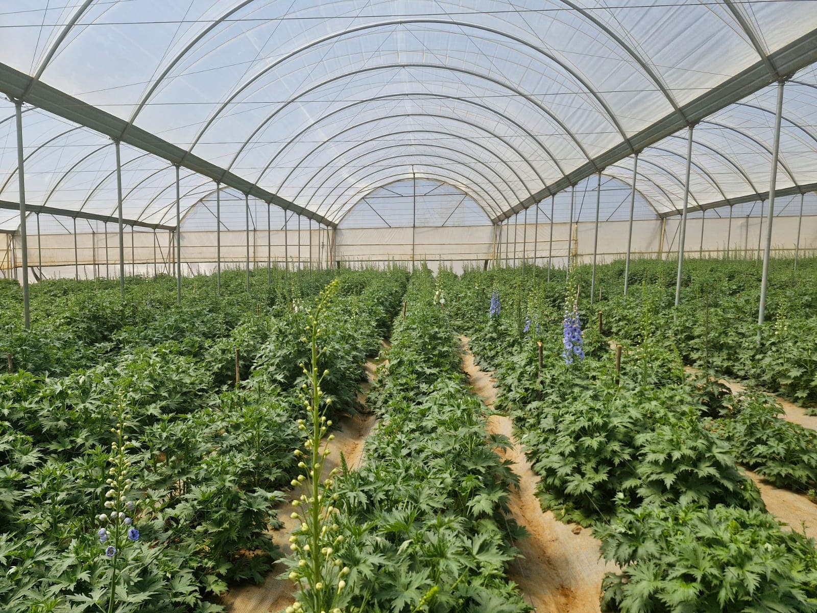 Tunnel infrastructure repair and maintenance work